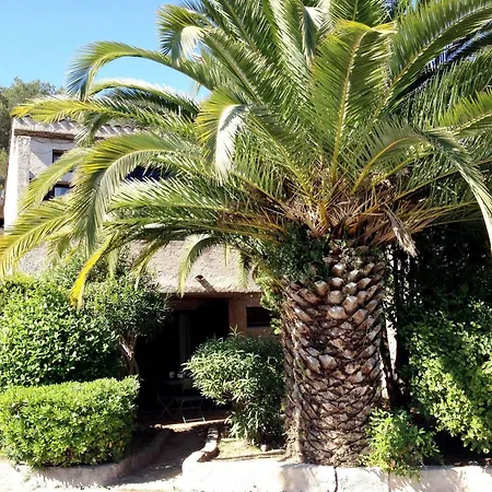 Odalys Les Mimosas Saint-Raphaël
